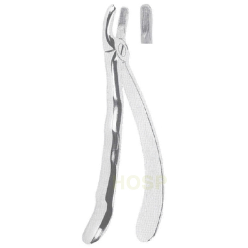 EXTRACTING FORCEPS With Anatomicall